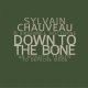 Sylvain Chauveau & Ensemble Nocturne - In Your Room